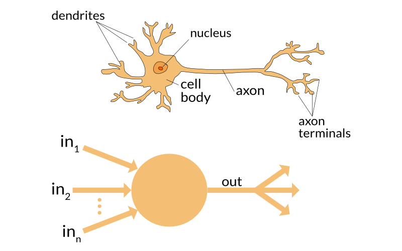Neural Network Illustration